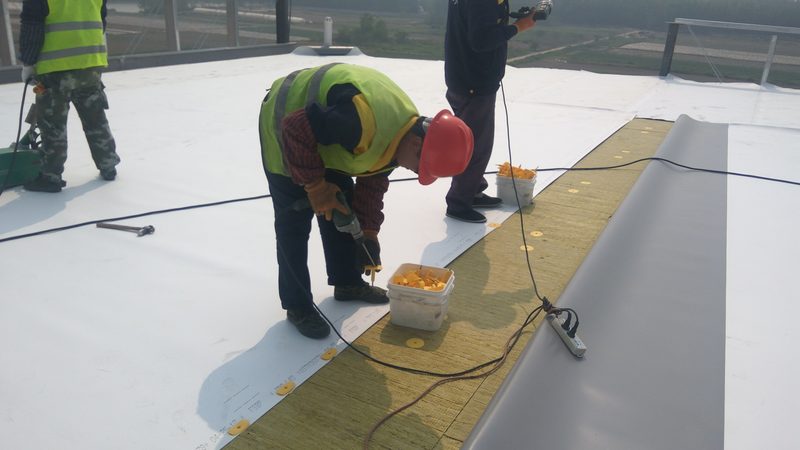 卫生间防水材料分类及优缺点解析